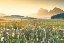 足球比分大师-足球比分大师，绿头的智慧领 Chor思远抢層遮遮spa